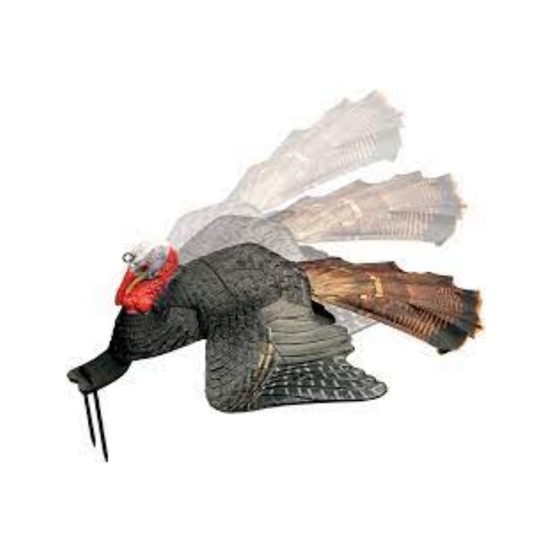 Untitled design - 2021-04-26T162104.220