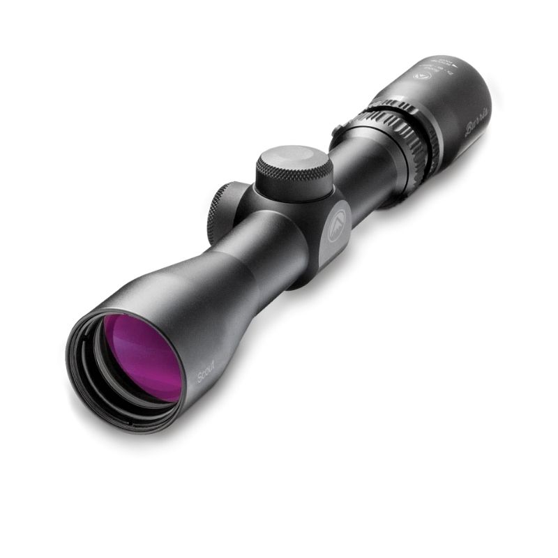 Untitled design (41)