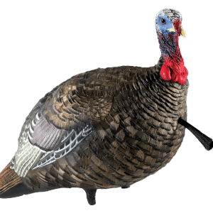 AVIAN-X JAKE QUARTER STRUT