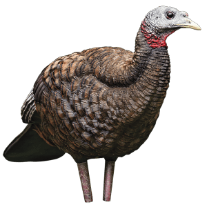 AVIAN-X BREEDER HEN