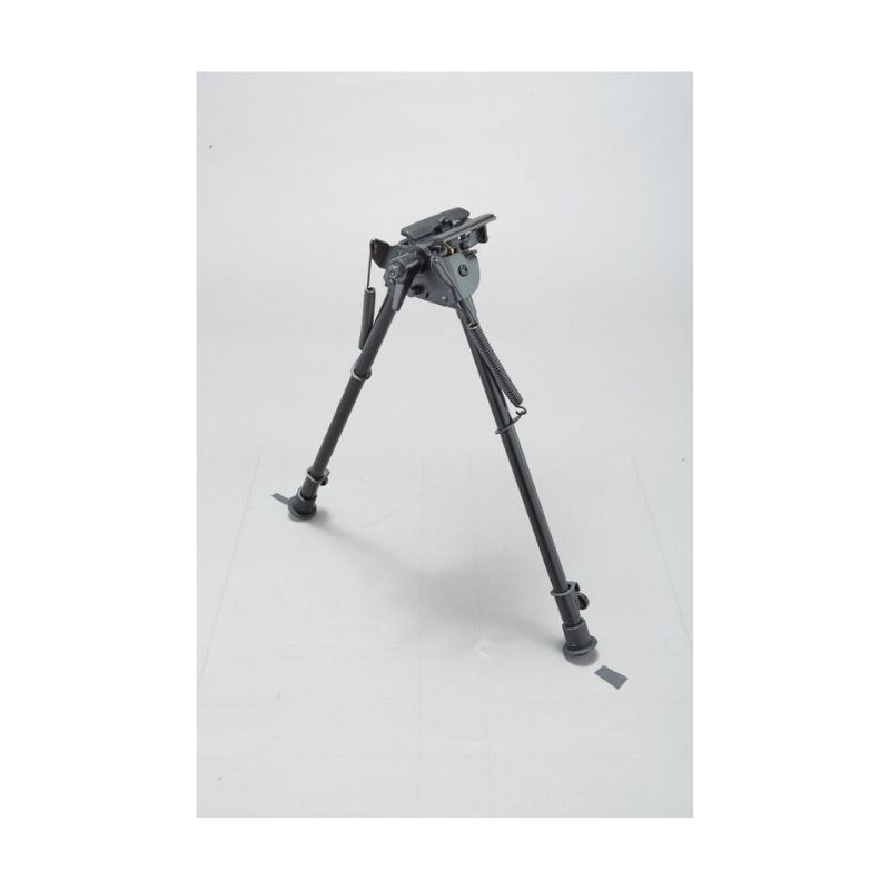 Untitled design - 2020-09-25T095421.904