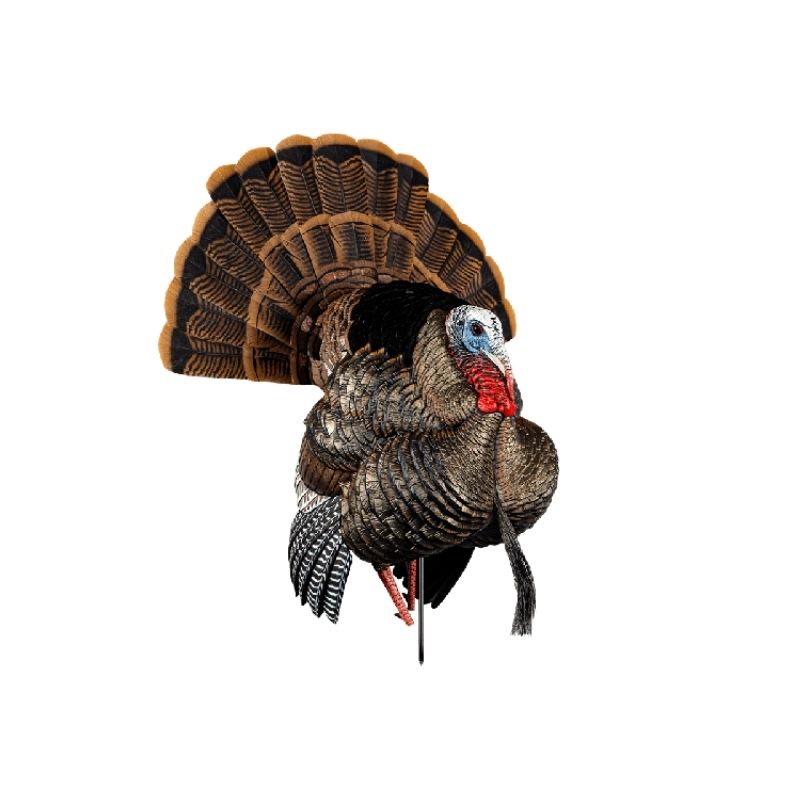 untilted - 2021-02-11T164229.150