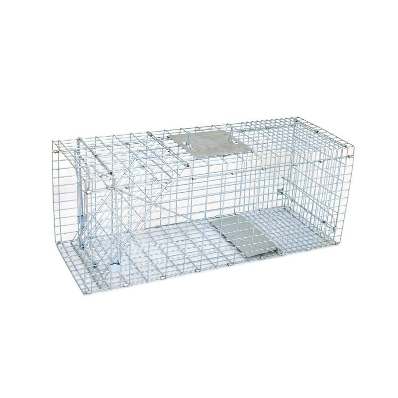 Untitled design (73)