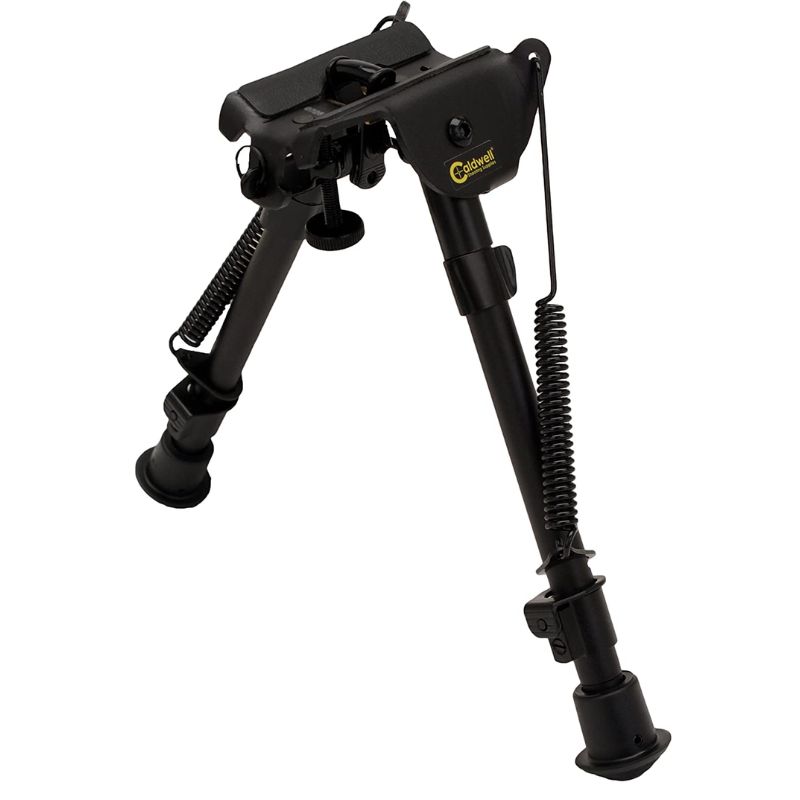 Untitled design (37)