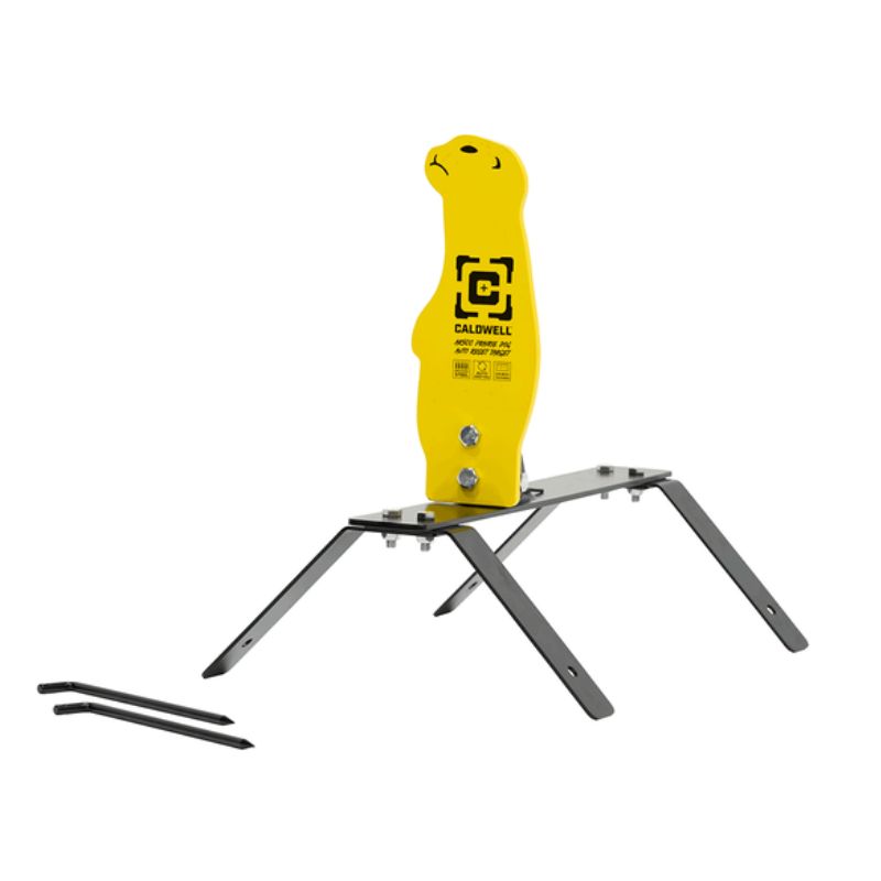 Untitled design (89)