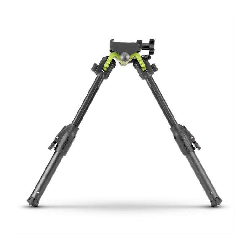 Untitled design (66)