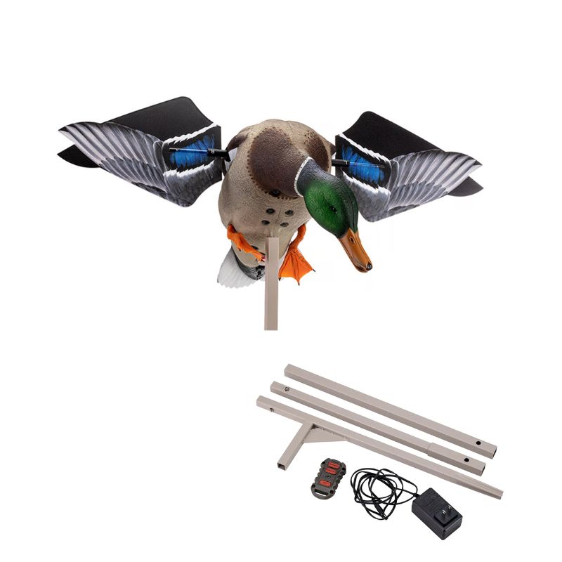 Untitled design - 2023-04-28T140929.338